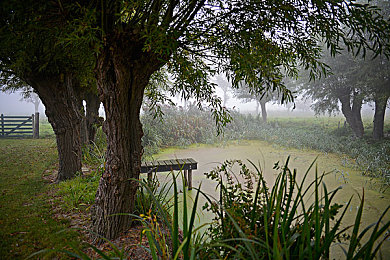 黄色软件网站3.0.3免费oppo版大全装扮2023苹果｜免费oppo版大全装扮2023苹果软件新版本发布，功能丰富引关注与争议-3