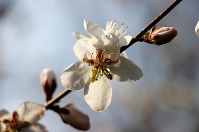 大团圆亲情会王芳王虎｜家庭盛宴，亲情升华，共筑温馨家园-2