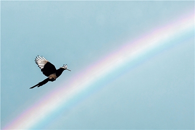 向日葵色板视频｜色彩魔法之旅，点亮生活向日葵-1