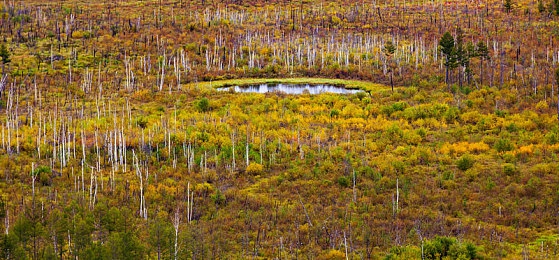 爱弓凉最值得看的4部剧|青春梦想的追逐旅程与冒险人生-4