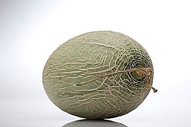 色哟哟入口|探秘色彩魔境,开启视觉奇旅-1