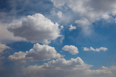 东北乱子伦男同志｜东北方言狂欢，互动游戏乐翻天-1