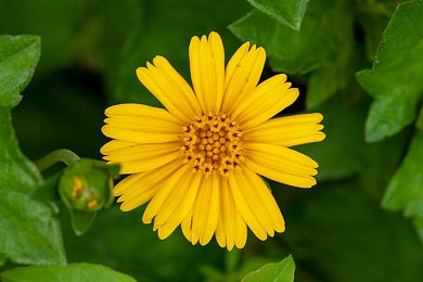 二次元痛二次元人物免费｜二次元人物免费开放引热议：产业变革与文化消费新思考-4