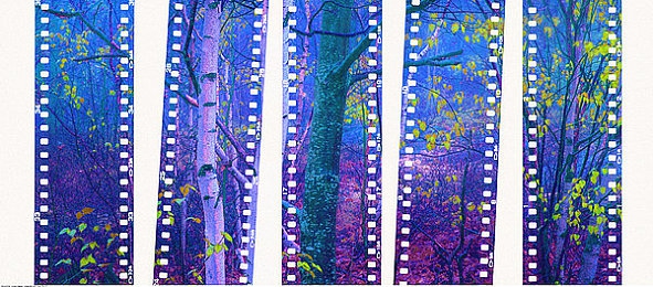 商务旅行与老板同行经典｜商旅同行：老板视角下的知识之旅-1