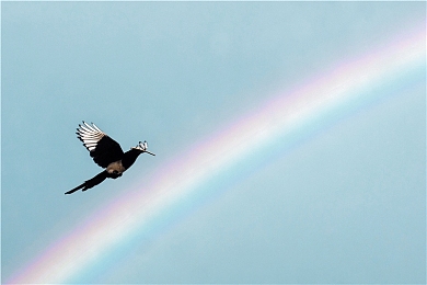情欲直播｜沉浸直播新篇章：情欲游戏体验共鸣之旅-3