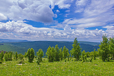 巨大根茎女同3d动漫｜揭秘女同3D动漫：“巨大根茎”元素下的独特艺术魅力-3