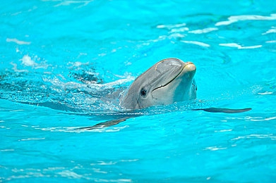 天天色播｜揭秘“天天色播”：海量资源，视觉盛宴，轻松畅享快乐时光-2