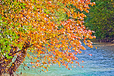 罗宾给乔巴做青春期治疗｜《海贼王》罗宾智慧治疗乔巴：青春困惑的化解之道-4