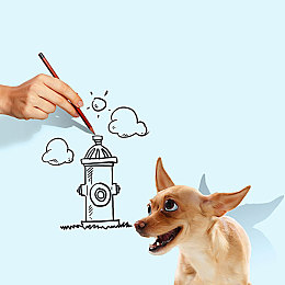 男男GaY 免费网站|守护彩虹,男男GaY社区:安全交流,共筑和谐家园-3