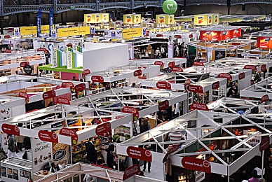 全彩ACG 无翼乌邪恶哟哟｜色彩奇幻启新篇，国产动漫《无翼乌邪恶哟哟》热议迭起