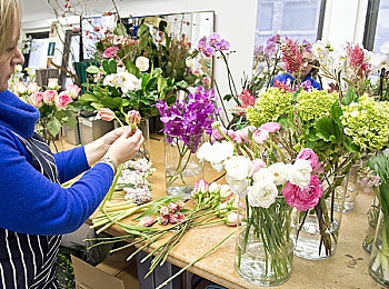 瑞典农场的4个女儿｜传承与创新：瑞典农场四姐妹的农业变革之旅-5