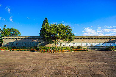 303免费oppo版破解大全｜破解手机应用程序的法律与安全风险正在引发热议-4