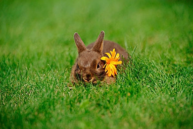 91国精产品秘 天美一区｜全球文化交融，91国精平台引领社交新潮流-4