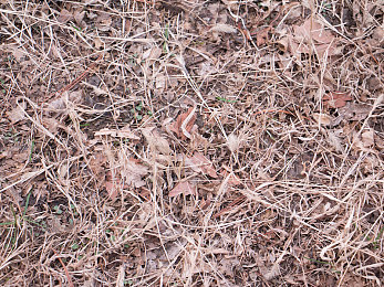 爱情岛论坛vip永久入口|“爱情岛VIP新门户开启,会员体验焕新升级,论坛发展迈新阶”-5