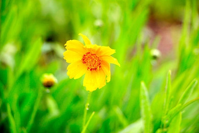 四虎最新地域网名免费苹果下载｜揭秘四虎最新地域网名：创意无限，免费苹果下载福利来袭！-3