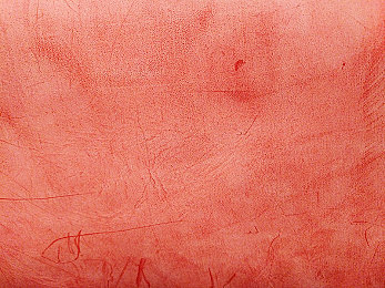 404十大禁用软件|“新规发布:404十大禁用软件引发热议,网络安全与个人信息保护成焦点”-3