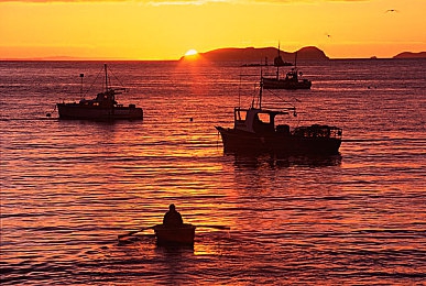 黄色软件下载3.0.3免费oppo版破解大全苹果|破解之惑:苹果设备上“黄色软件下载”引发的版权安全争议-3