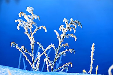 羞羞漫画 免费入口|网络监管风暴:揭秘“羞羞漫画”背后的文化困境-3