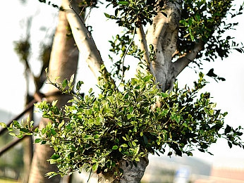 91抖｜短视频新秀“91抖”崛起：内容丰富引发社会关注，挑战与机遇并存-4