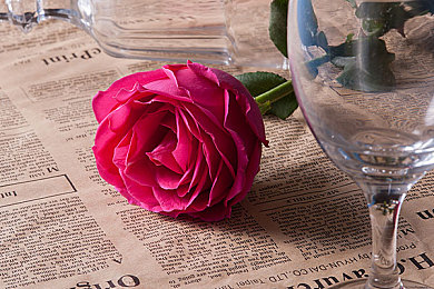 亲子伦一区二区三区观看方式|家庭观影新风尚:亲子伦一区二区三区打造多元化观影体验-2