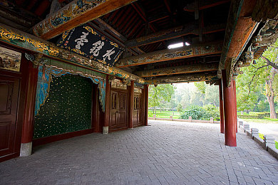 天天爱综合｜拥抱多彩生活，开启“天天爱综合”新生活方式，享受全面幸福人生-4