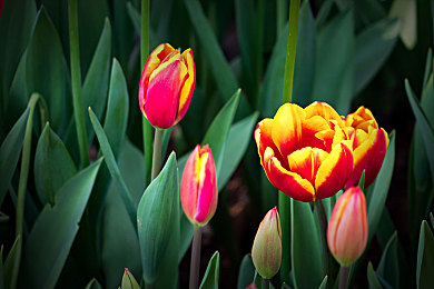 久久丁香五月｜情感交汇的城市运动，参与传递希望