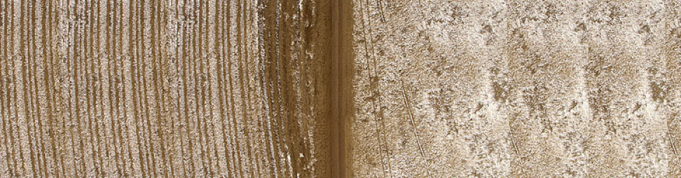 日本护士体内she精2的演员-2