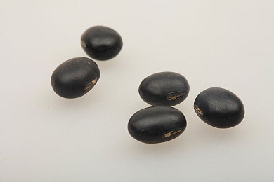 火影忍者黄游｜沉浸式VR体验，穿越忍界重温经典《火影忍者-3