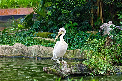 哔哩哔哩情侣进入高峰期｜哔哩哔哩情侣互动热潮兴起：短视频平台成新社交阵地，探讨现象背后的原因与影响-2