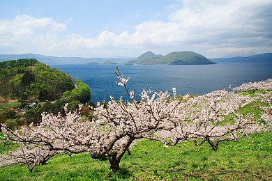 奴役虐性XXX奴役虐性XXX｜揭露黑工厂：残酷现实下的劳动者求生之路-3