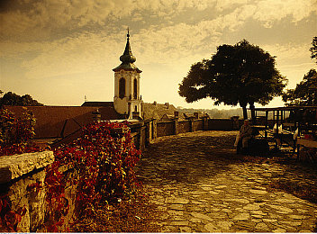 黄色www.|“政府重拳出击,合力整治网络黄潮,青少年身心健康获保障,清朗网络空间共期待”-2