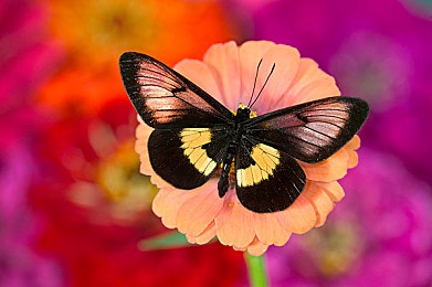 年轻教师的滋味5|挑战与成长:五位年轻教师的教育酸甜苦辣记-3