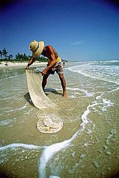 朝阳热心台北娜娜老师｜照亮未来：娜娜老师的爱心教学传奇之旅-3