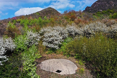 艳星Brandi熟妇办公室|揭秘艳星Brandi熟妇办公室:探寻熟女魅力与智慧新天地-5