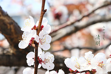 《酒店服务生》｜酒店服务生：筑梦温馨，桥梁客心-3