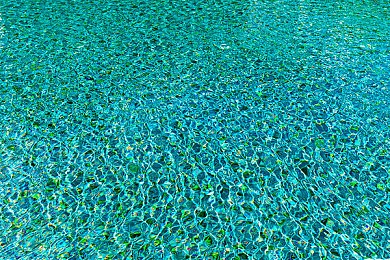 花蝴蝶直播｜直播界璀璨明珠：花蝴蝶平台引领多元化直播潮流-5