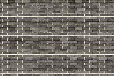 黄品汇绿巨人｜电商环保新篇章：黄品汇携手绿巨人共筑绿色未来-4