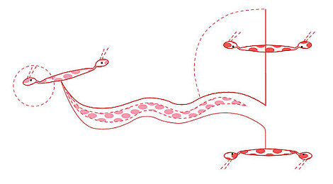 性视界｜揭秘情缘：跨越禁忌的性视界之旅-5