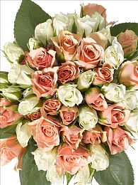 黄色直播间下载|探索“黄色直播间下载”:全新娱乐体验,畅享无限欢乐时光-2