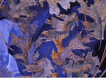 12小时919纪录片观看｜瞬间聚焦，百万目光见证：纪录片《12小时919》揭示基层生活画卷-5