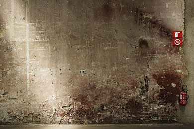 五月婷六月丁香|花韵五月婷,香飘六月丁香,生活之美绽放-3