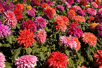 小男生被绑着玩jiji网站｜网络阴影下的守护：揭秘未成年网络安全危机-3