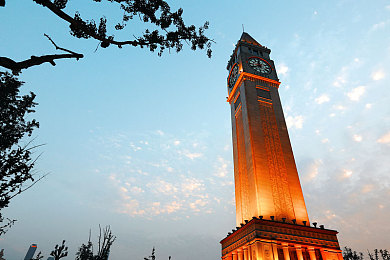 意大利水蜜桃｜意桃飘香，甜蜜跨越国界之旅-5