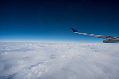 罗宾当青春期乔巴排毒素｜青春期少年排出神秘毒素，引发社会关注与调查-5