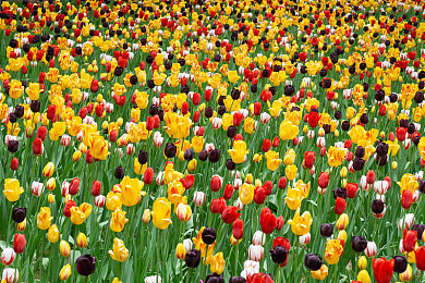 美女裸体被 涩涩漫画软件｜漫画平台引争议,公众呼吁加强监管-5