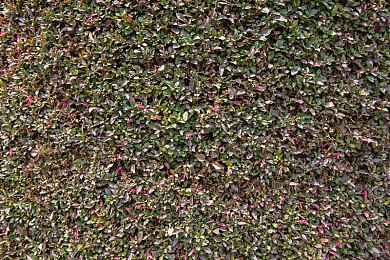 欧美无mate30pro巨｜华为Mate 30 Pro巨幕版欧美遇冷，国际化挑战与机遇并存-4