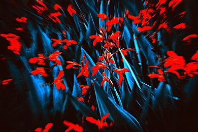 黄色软件在哪下载-3