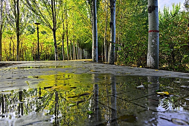 动漫《我的妈妈》泰语|穿越亲情迷宫,泰语版《我的妈妈》冒险之旅-3