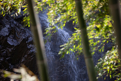 YY直播下载｜直播探险，YY游戏盛宴等你来战-2