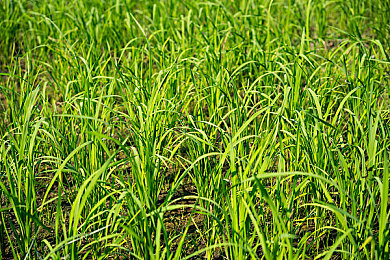 猛男GayGay 免费网站｜猛男社区，LGBTQ+的温馨家园-5